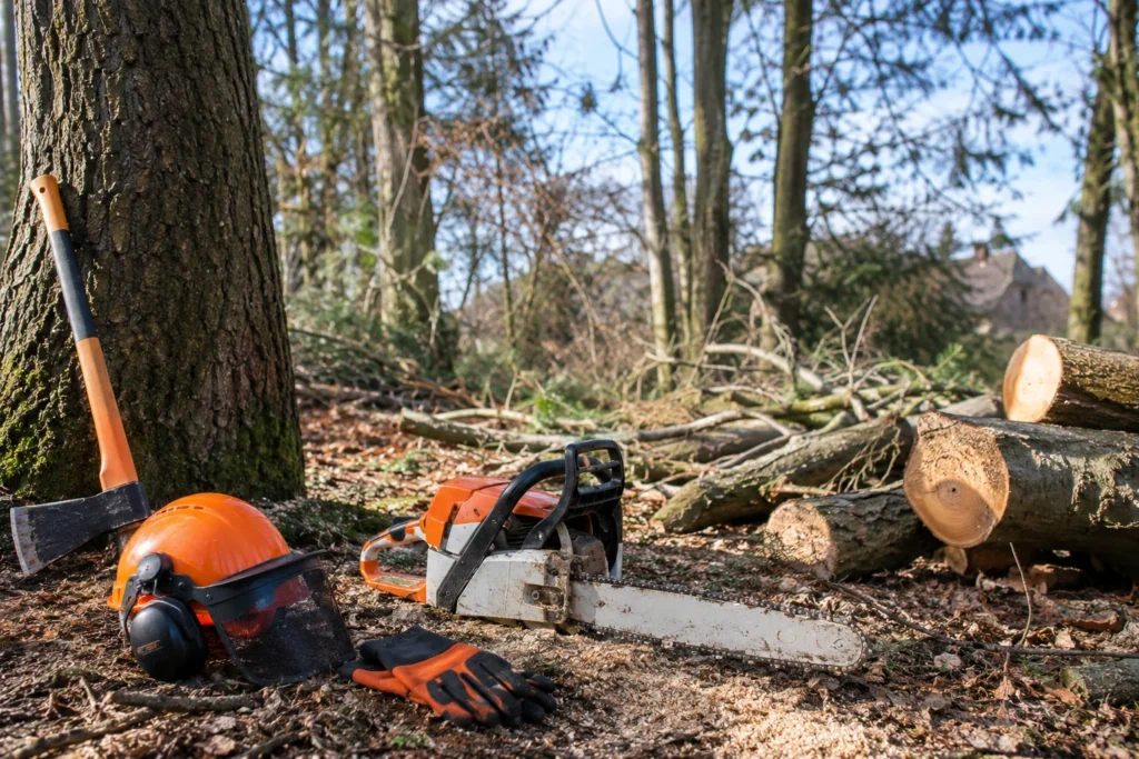 gereedschap boomomzagen