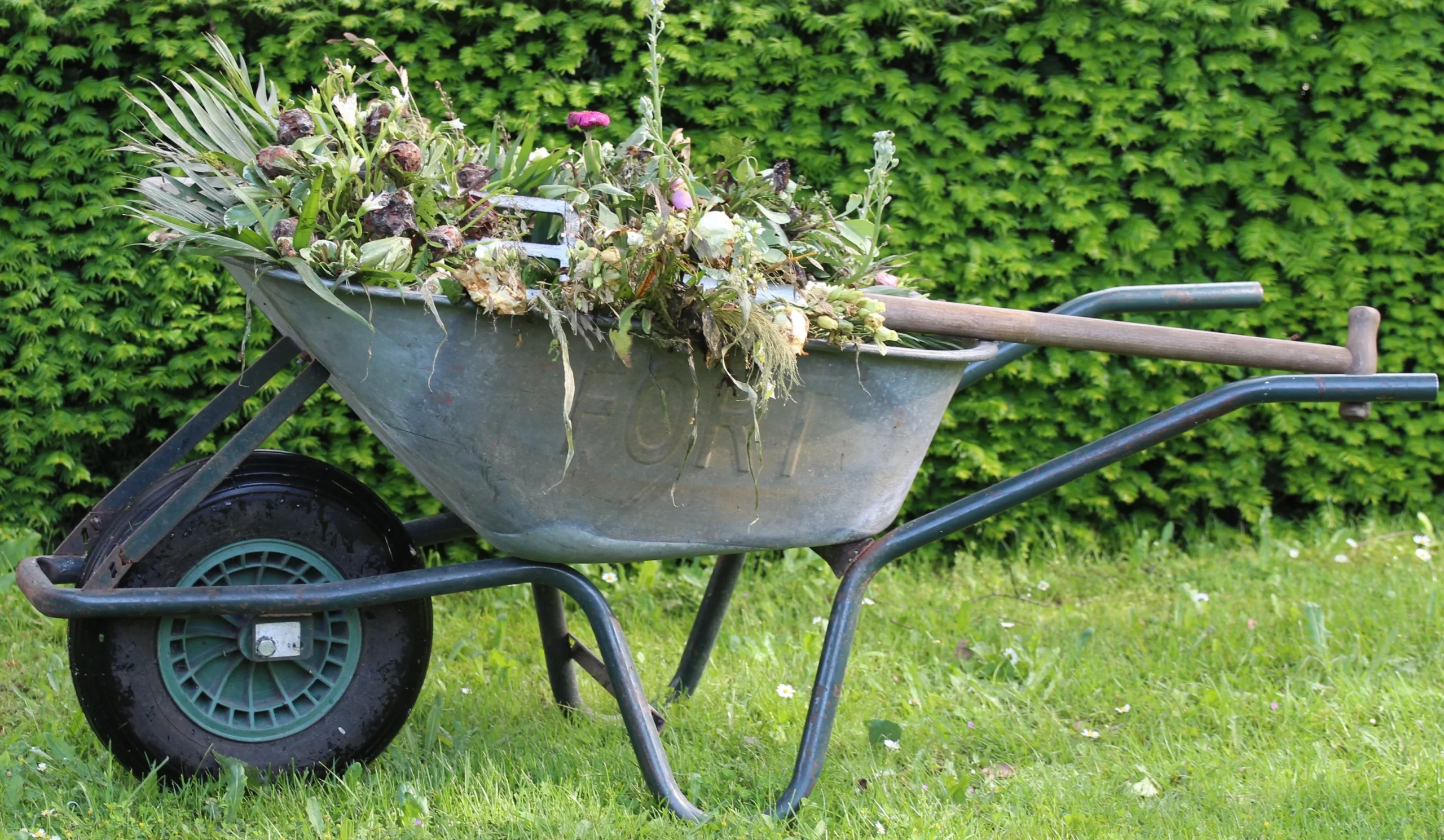 Hoe moet je onkruid verwijderen: 4 methodes, gereedschap en preventietips