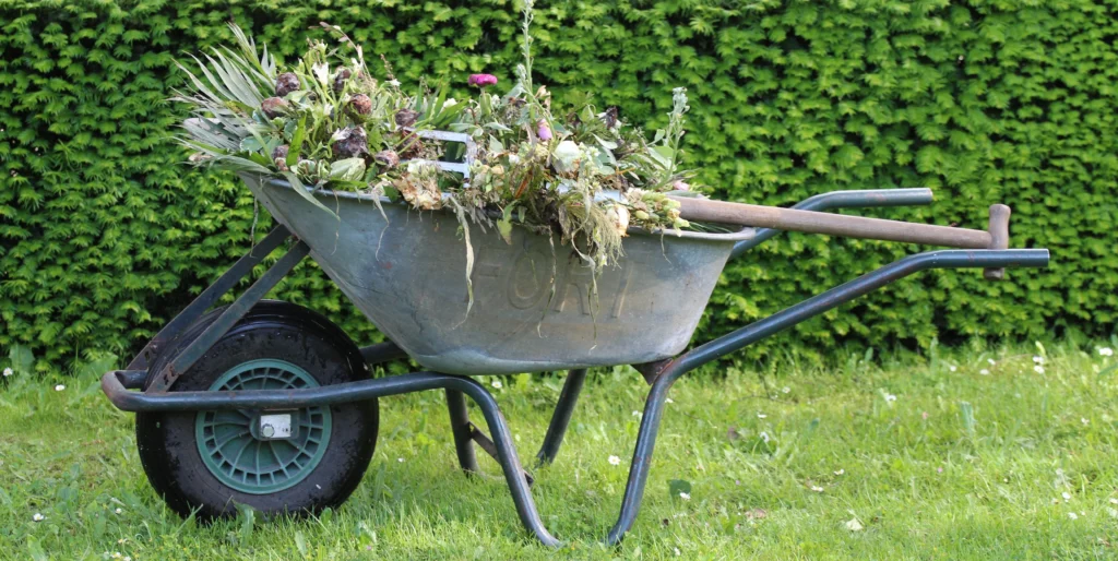 Onkruid verwijderen in de kruiwagen